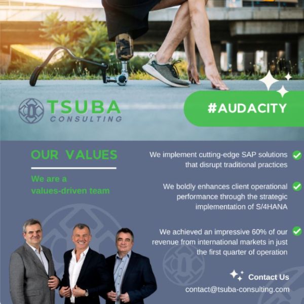 Bringing Tsuba Consulting to where we have the ambition to take it will require #Audacity